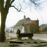 P10005