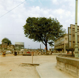 P10016