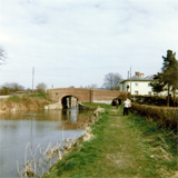P10021