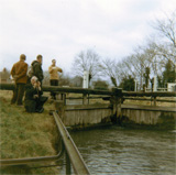 P10024