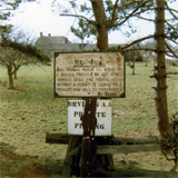 P10025
