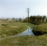 P10026