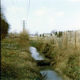 P10028