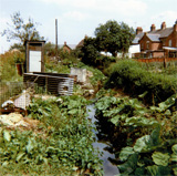 P10029