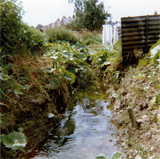 P10030
