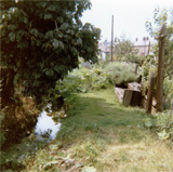 P10031