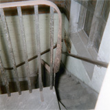 P10045