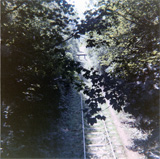 P10049