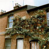 P10074