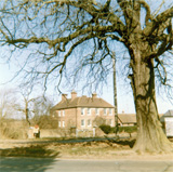 P10081