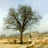 P10106
