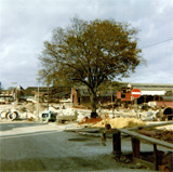 P10107