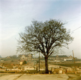 P10109