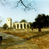 P10116