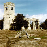 P10117