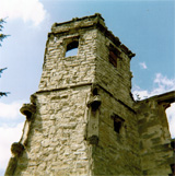 P10118