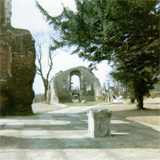 P10123
