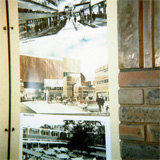 P10136