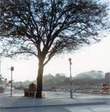 P10157