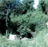 P10180
