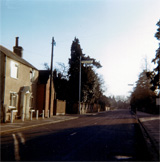 P10231