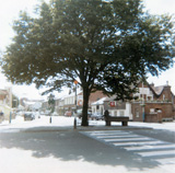 P10233
