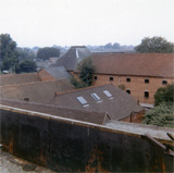 P10239