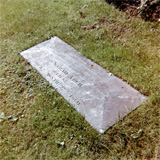 P10244