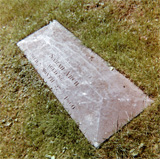 P10245