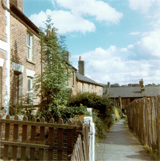 P10250