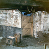 P10294
