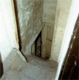 P10313