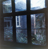 P10317