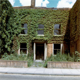 P10335