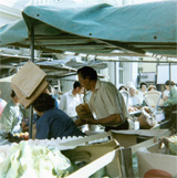 P10381
