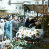 P10383