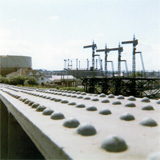 P10437