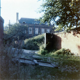 P10445