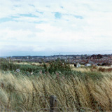 P10451