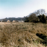 P10452