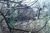 P10461