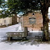 P10499