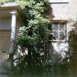 P10526