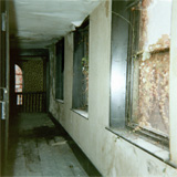 P10561