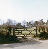 P10590