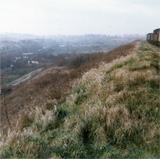 P10591