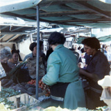 P10606
