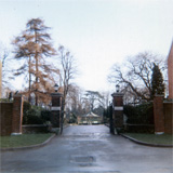 P10654