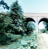 P10667