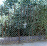 P10674